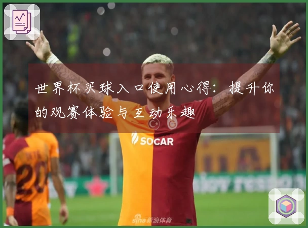 世界杯买球入口使用心得：提升你的观赛体验与互动乐趣