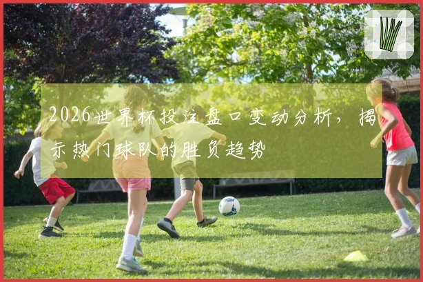 2026世界杯投注盘口变动分析，揭示热门球队的胜负趋势