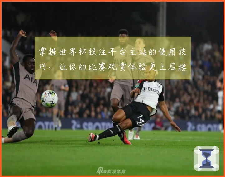 掌握世界杯投注平台主站的使用技巧，让你的比赛观赏体验更上层楼