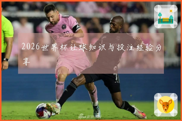2026世界杯让球知识与投注经验分享