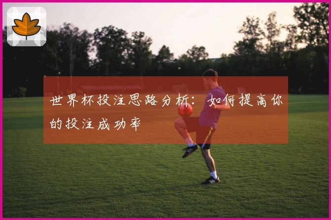 世界杯投注思路分析：如何提高你的投注成功率