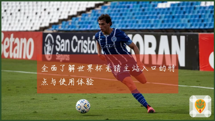 全面了解世界杯竞猜主站入口的特点与使用体验