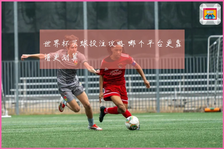世界杯买球投注攻略 哪个平台更靠谱更划算
