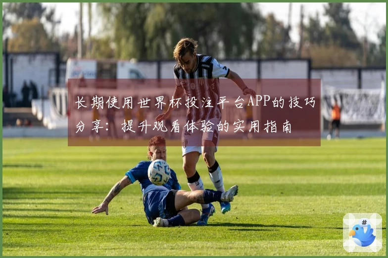 长期使用世界杯投注平台APP的技巧分享：提升观看体验的实用指南