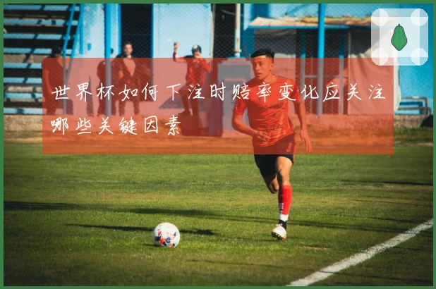 世界杯如何下注时赔率变化应关注哪些关键因素