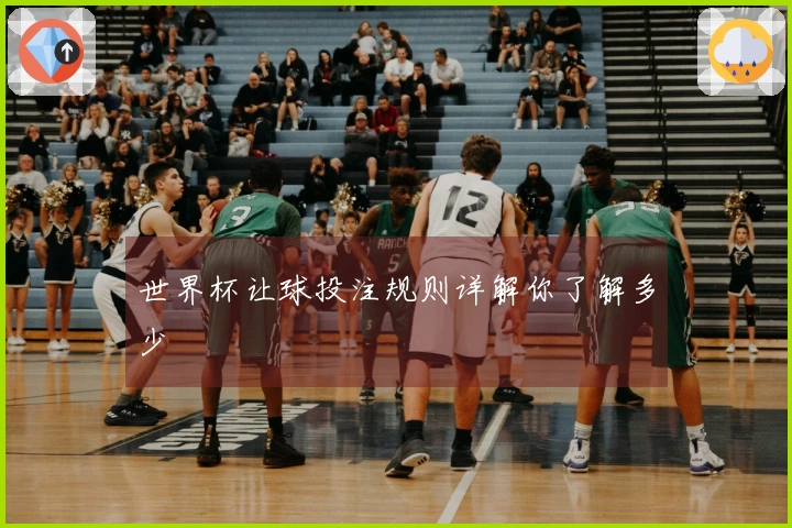 世界杯让球投注规则详解你了解多少