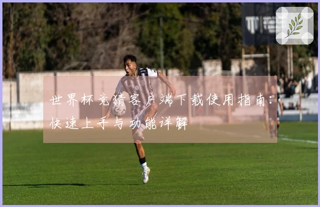世界杯竞猜客户端下载使用指南：快速上手与功能详解