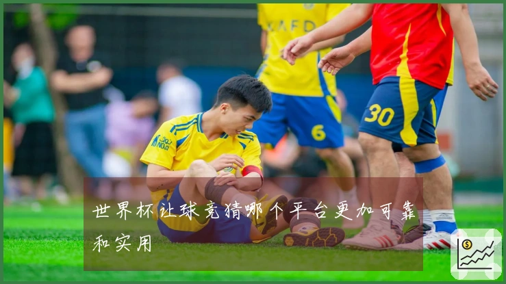 世界杯让球竞猜哪个平台更加可靠和实用