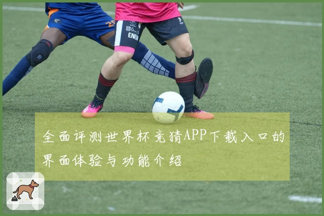 全面评测世界杯竞猜APP下载入口的界面体验与功能介绍