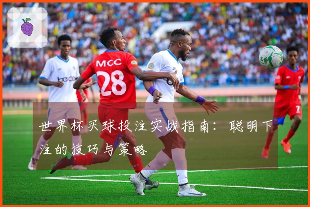世界杯买球投注实战指南：聪明下注的技巧与策略