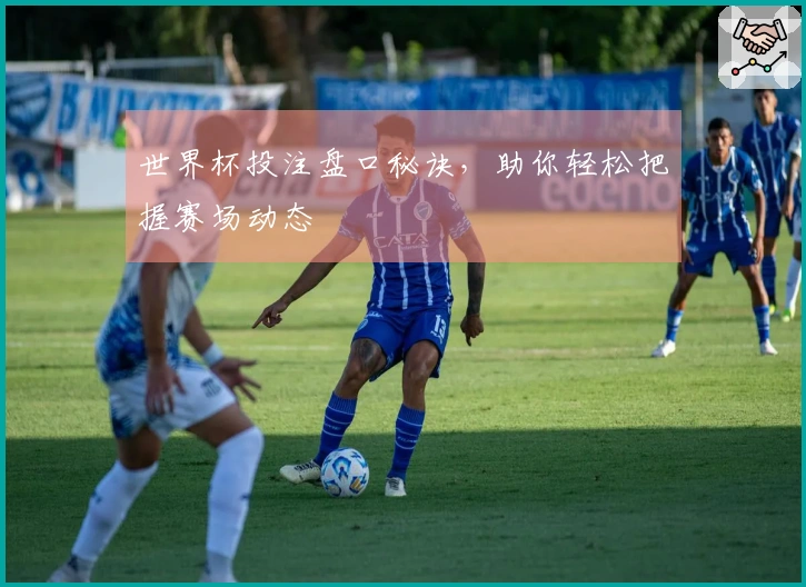 世界杯投注盘口秘诀，助你轻松把握赛场动态